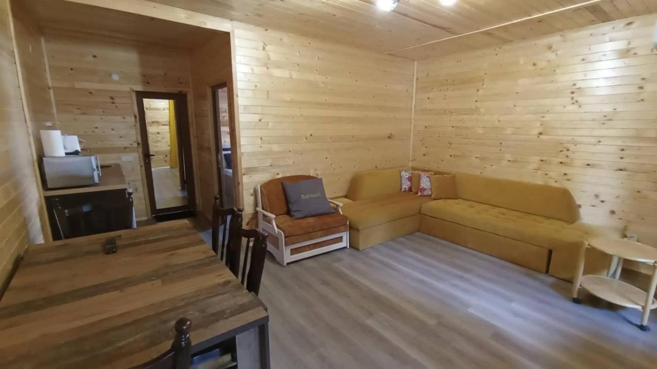 Вила Влаида Saparewa Banja Exterior foto